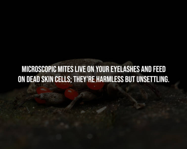 Sinister Secrets Hidden In Plain Sight