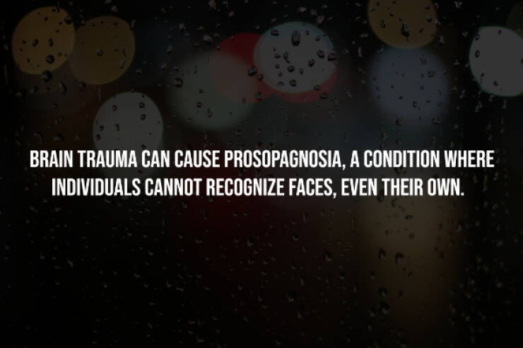 Sinister Secrets Hidden In Plain Sight