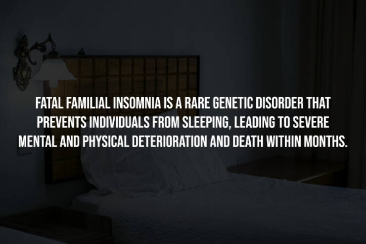 Sinister Secrets Hidden In Plain Sight