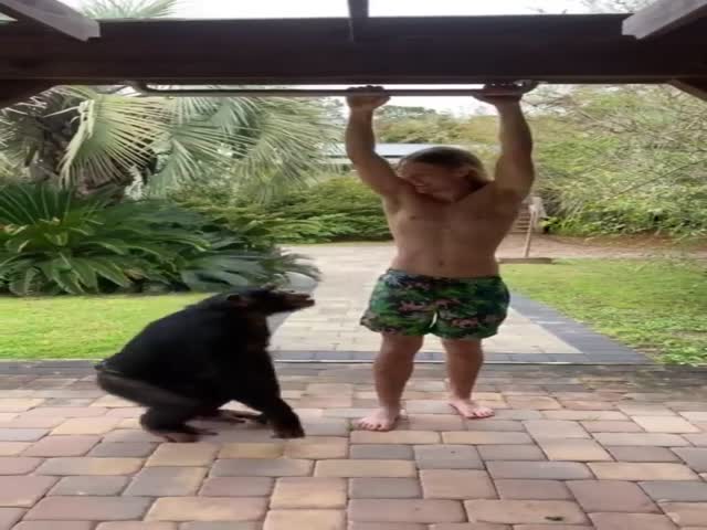Man Vs Chimp