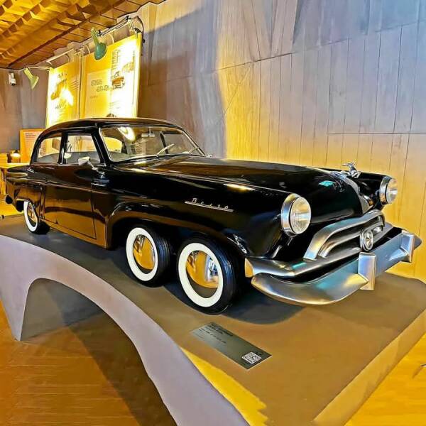 Daily Picdump Daily Picdump