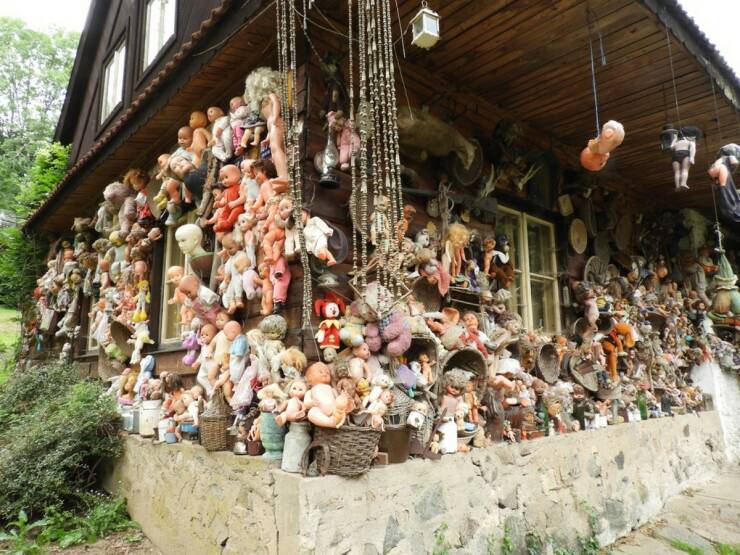 Daily Picdump Daily Picdump