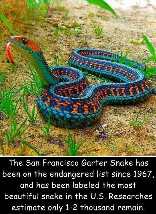 Daily Picdump Daily Picdump