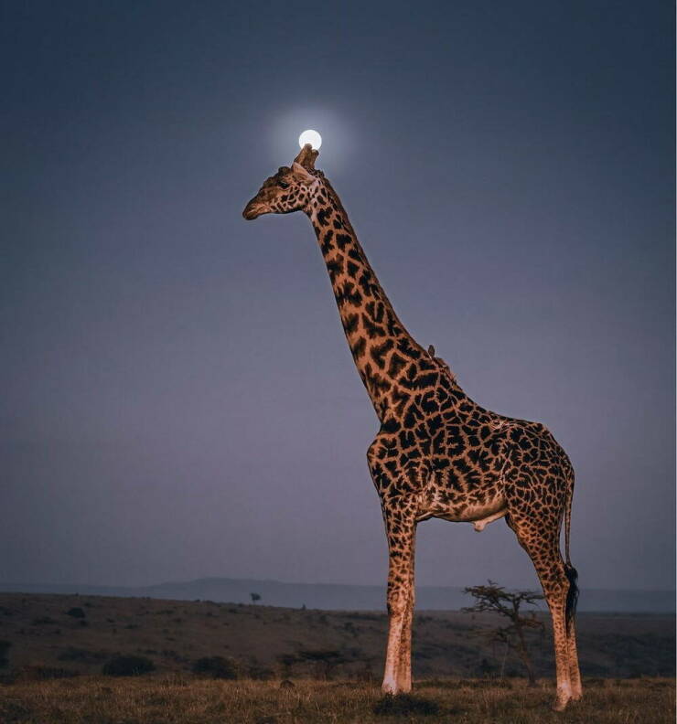 Daily Picdump Daily Picdump