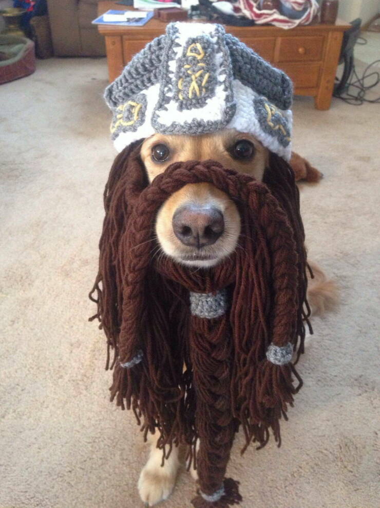 Daily Picdump Daily Picdump