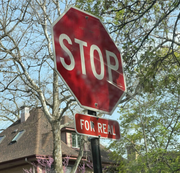 Dive Into Some Fun and Fascinating Moments