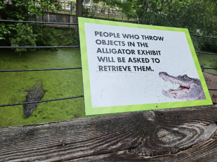 Dive Into Some Fun and Fascinating Moments