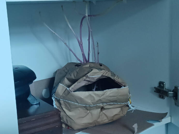 Dive Into Some Fun and Fascinating Moments