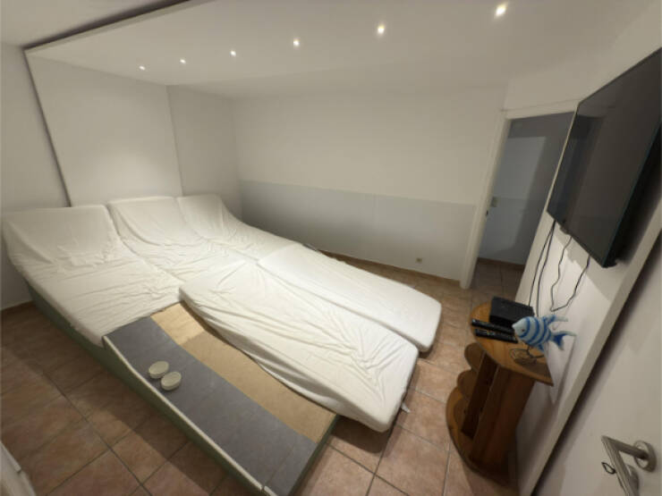 Dive Into Some Fun and Fascinating Moments