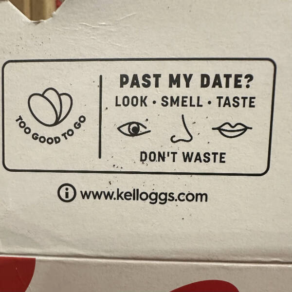 Dive Into Some Fun and Fascinating Moments