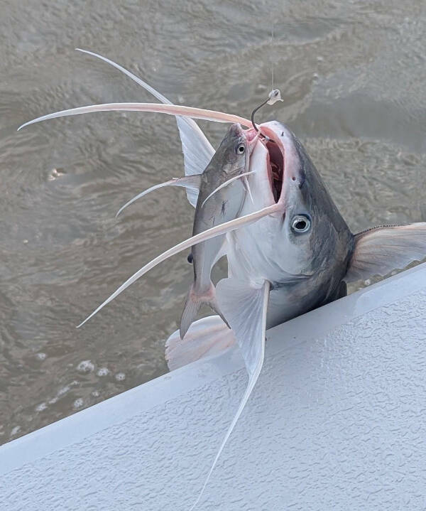 Dive Into Some Fun and Fascinating Moments