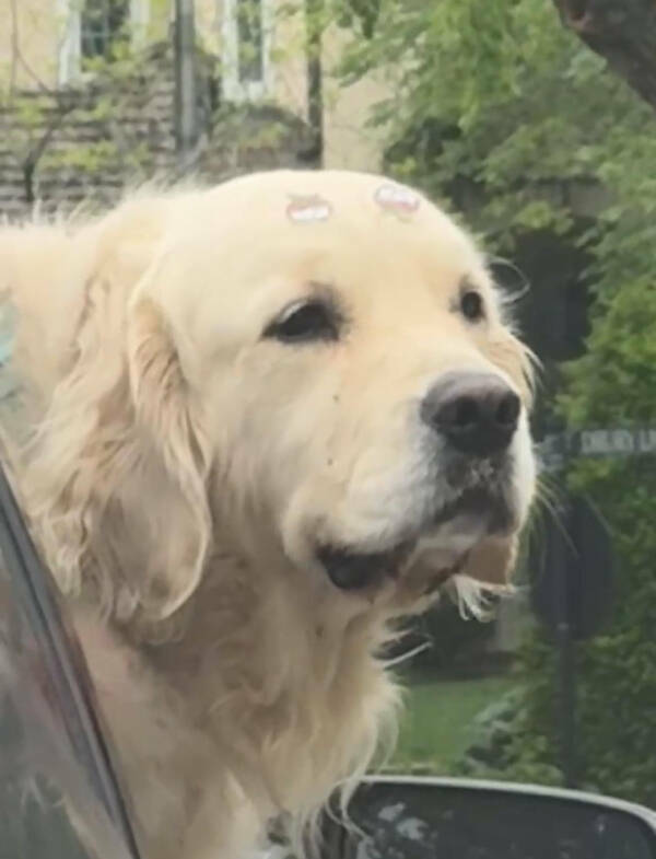 Dive Into Some Fun and Fascinating Moments