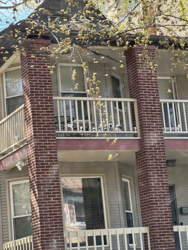 Dive Into Some Fun and Fascinating Moments