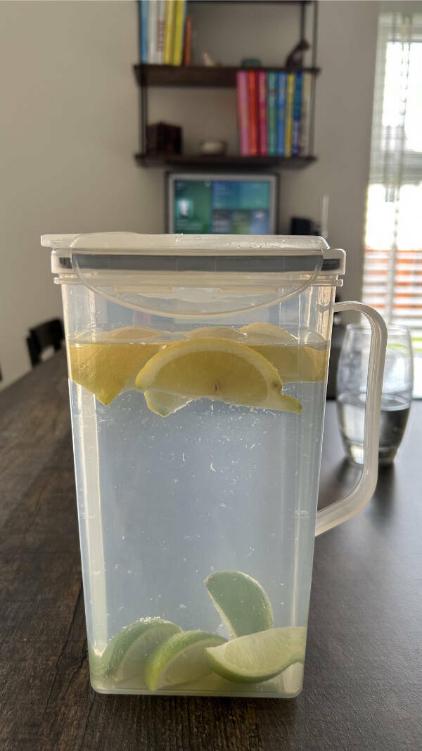 Dive Into Some Fun and Fascinating Moments