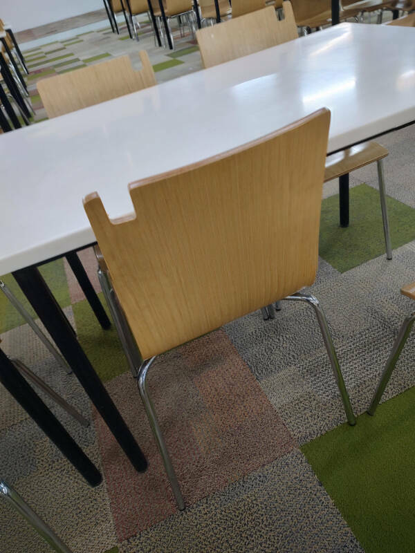 Dive Into Some Fun and Fascinating Moments