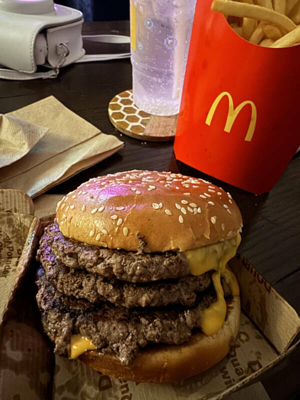 Dive Into Some Fun and Fascinating Moments