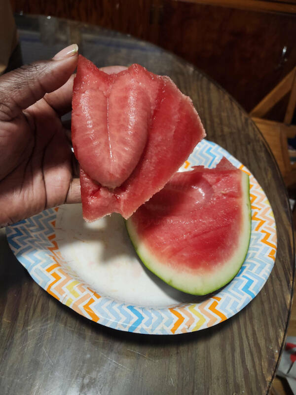 Dive Into Some Fun and Fascinating Moments