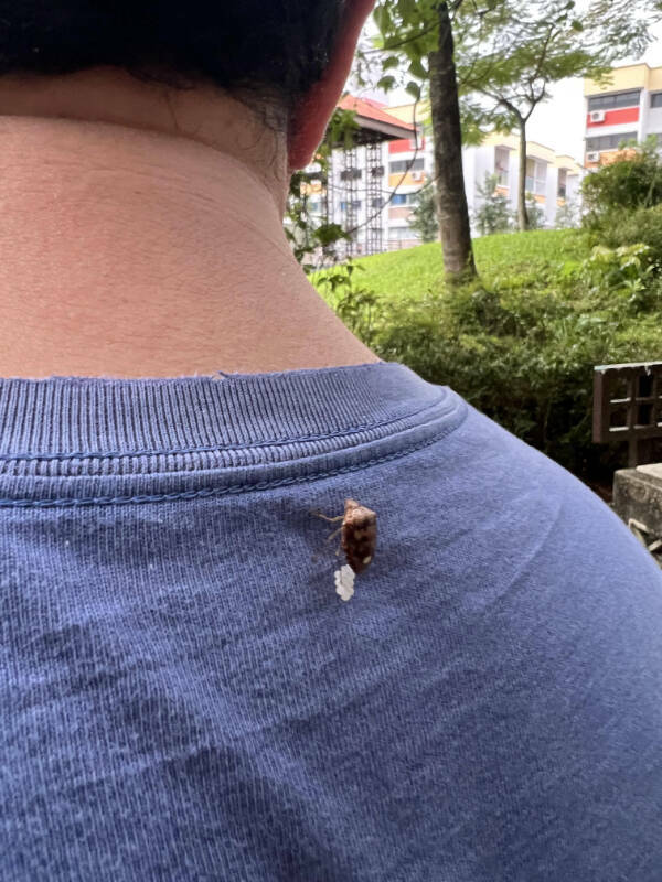 Dive Into Some Fun and Fascinating Moments