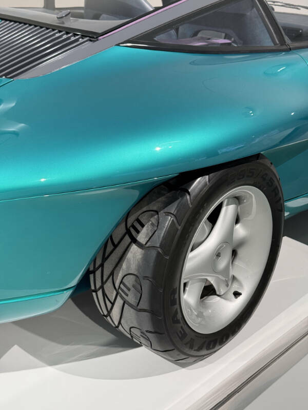 Dive Into Some Fun and Fascinating Moments