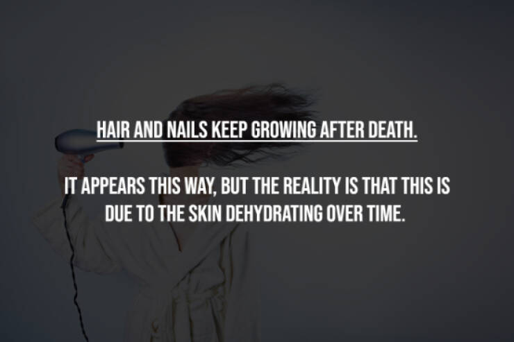 Busting Everyday Myths One Fact At A Time