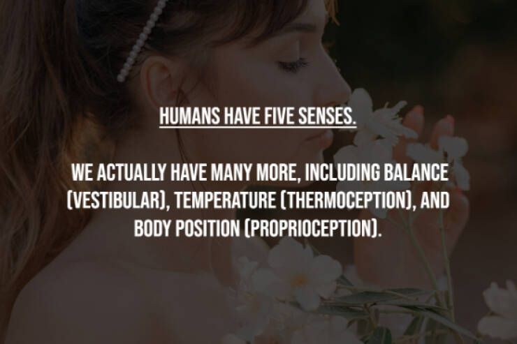 Busting Everyday Myths One Fact At A Time