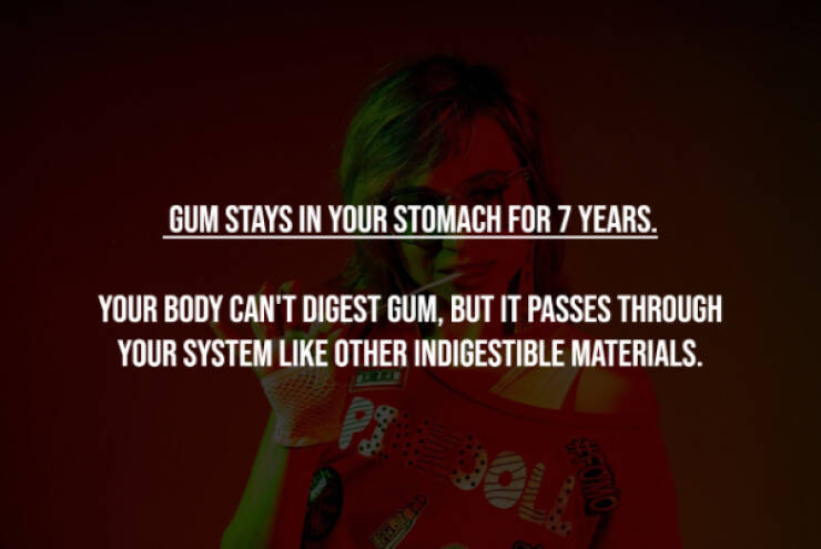 Busting Everyday Myths One Fact At A Time