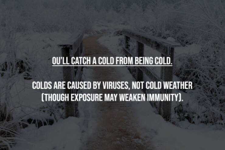 Busting Everyday Myths One Fact At A Time