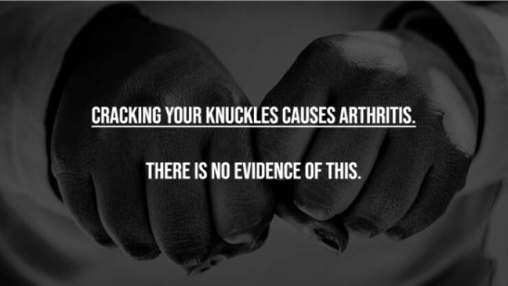 Busting Everyday Myths One Fact At A Time