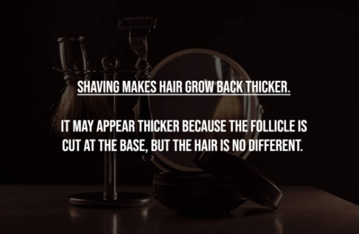 Busting Everyday Myths One Fact At A Time