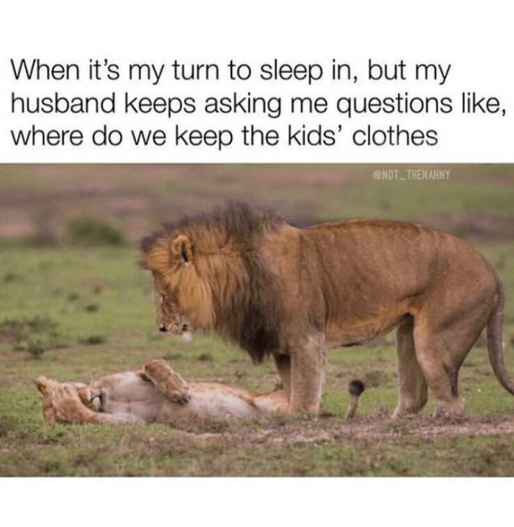 Funny Picdump