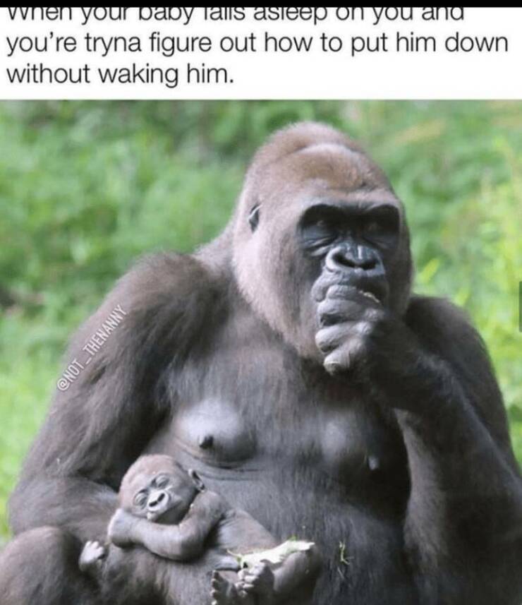 Funny Picdump