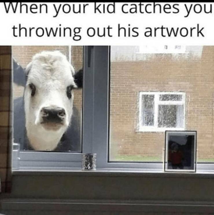 Funny Picdump