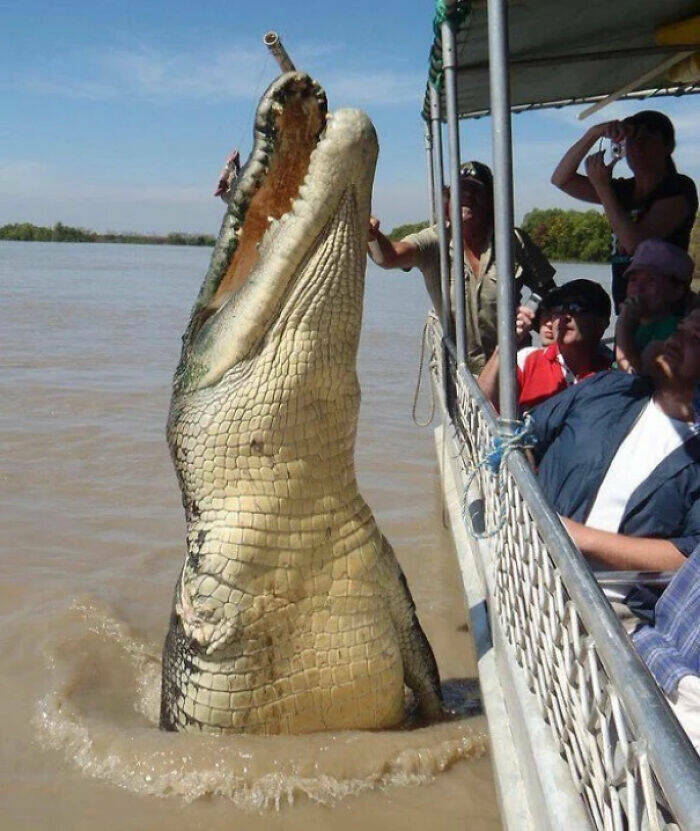 Giant Things That Give People The Creeps