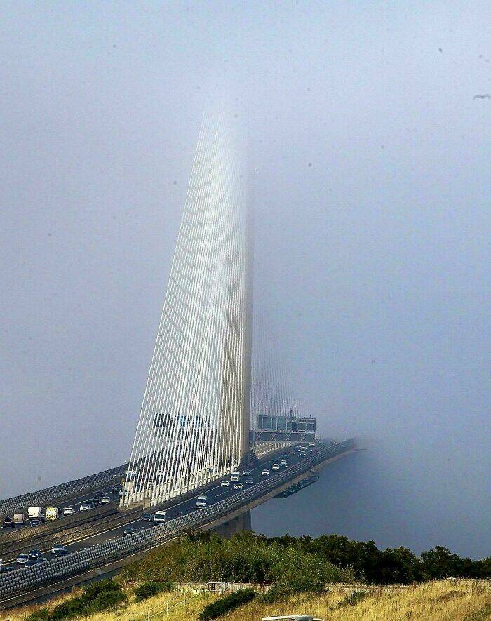 Giant Things That Give People The Creeps