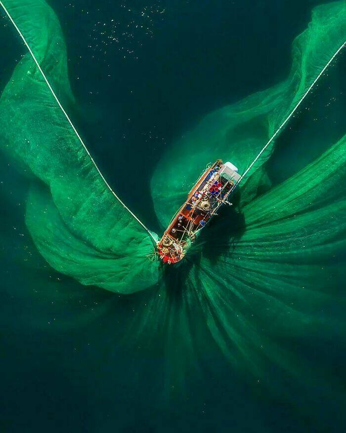 Giant Things That Give People The Creeps