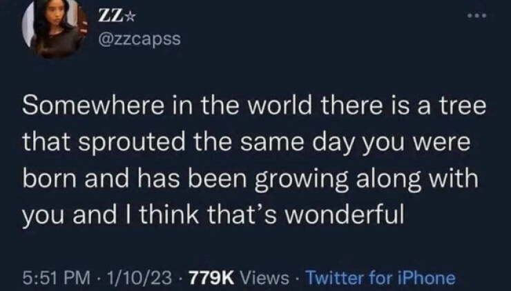 Heartwarming Memes That Are Pure Joy