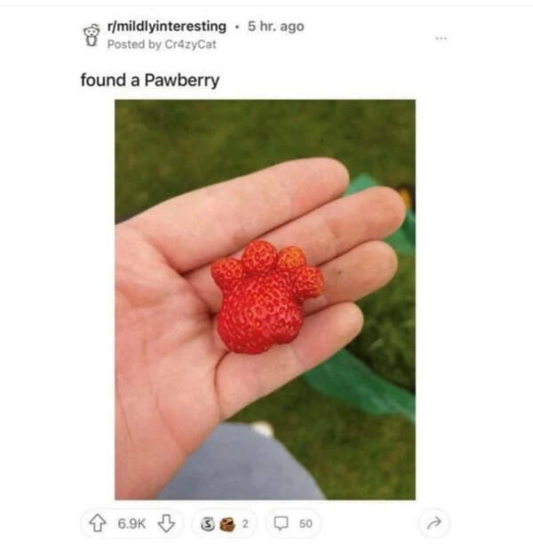 Heartwarming Memes That Are Pure Joy