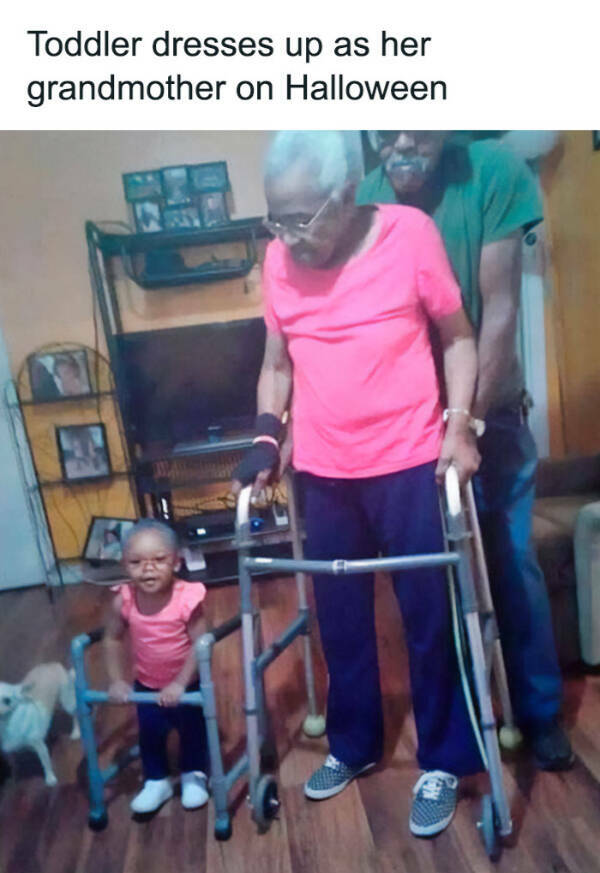 Heartwarming Memes That Are Pure Joy