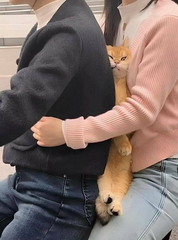 Interesting Pics You Don’t Want To Miss