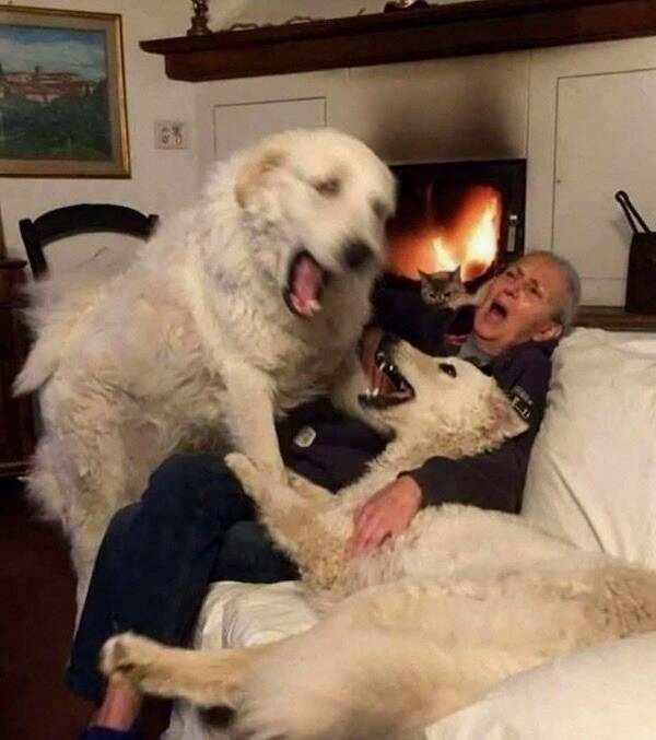 Interesting Pics You Don’t Want To Miss