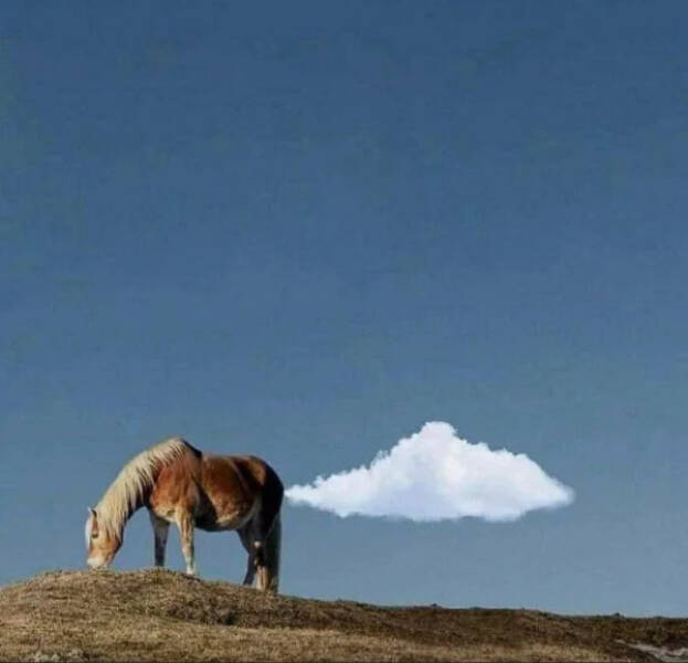 Welcome to the Weird Side of the Internet