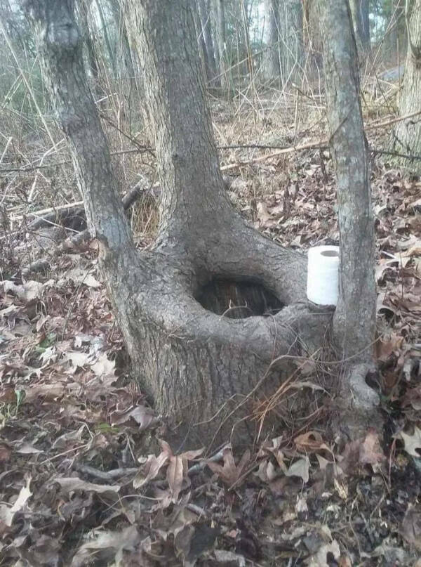 Welcome to the Weird Side of the Internet