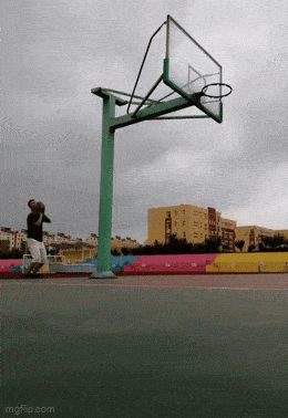 Daily Gifdump Daily Gifdump