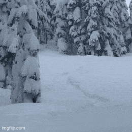 Daily Gifdump Daily Gifdump