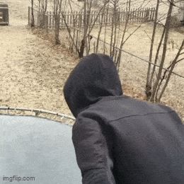 Daily Gifdump