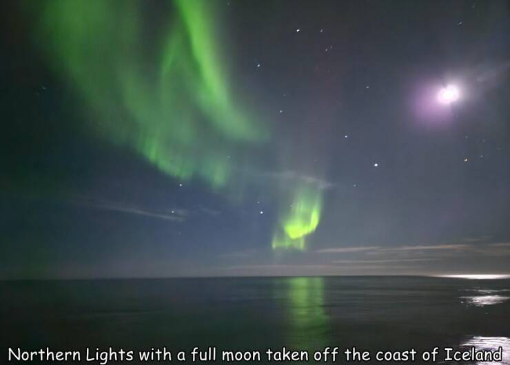 Daily Picdump Daily Picdump