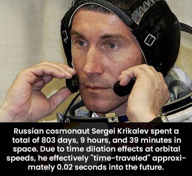 Daily Picdump Daily Picdump