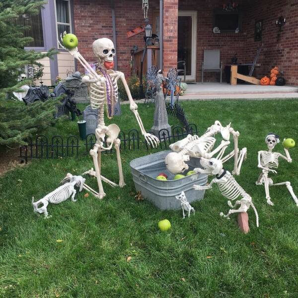 Daily Picdump Daily Picdump