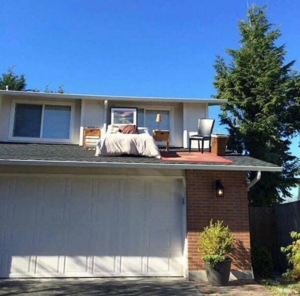 Daily Picdump Daily Picdump