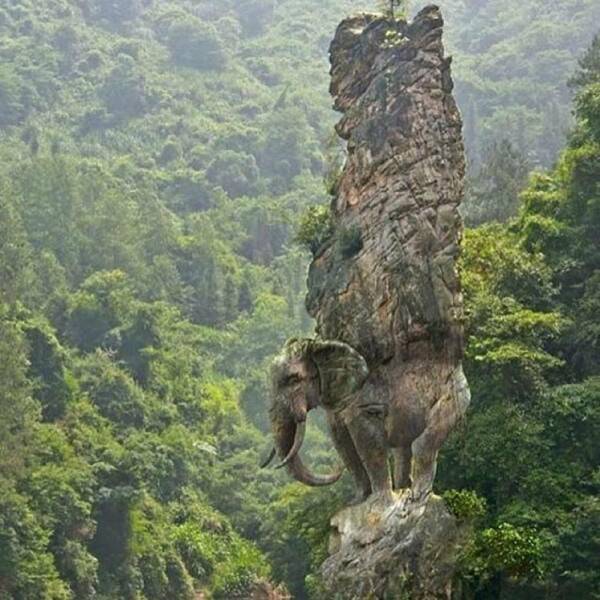 Daily Picdump Daily Picdump